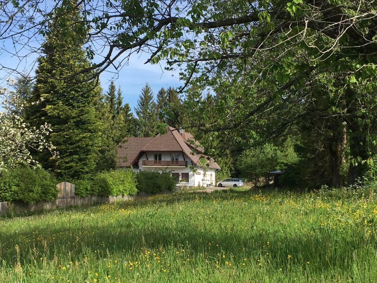B & B Der Waldvogel Herrischried Luaran gambar